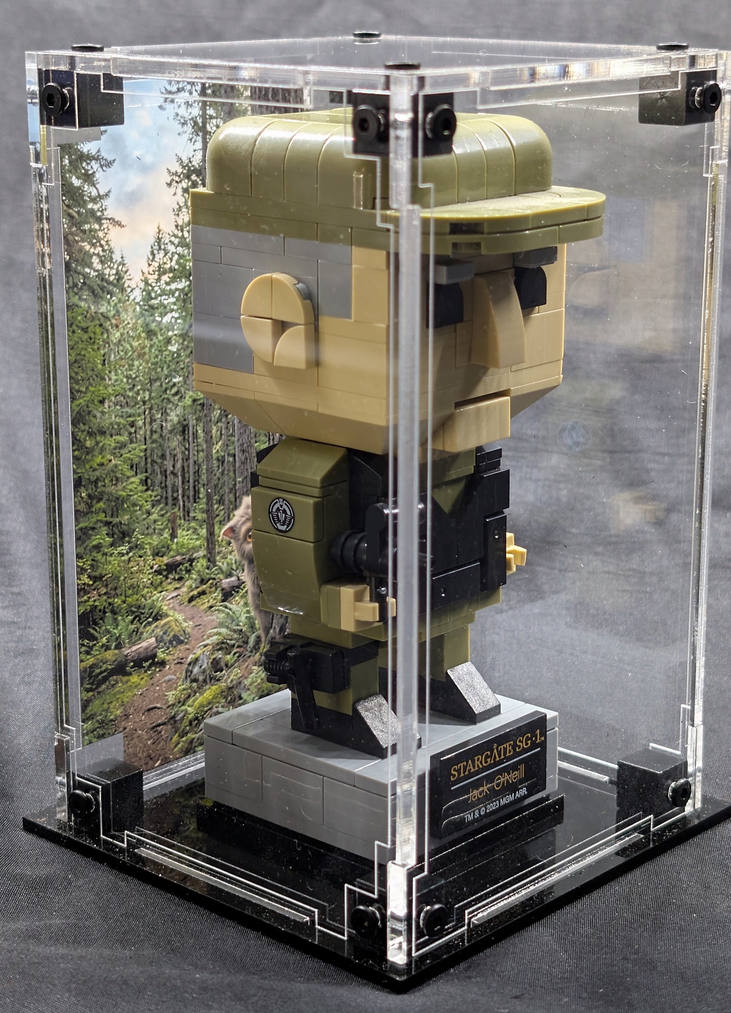 Bluebrixx-Pro Stargate Brick Buddy case